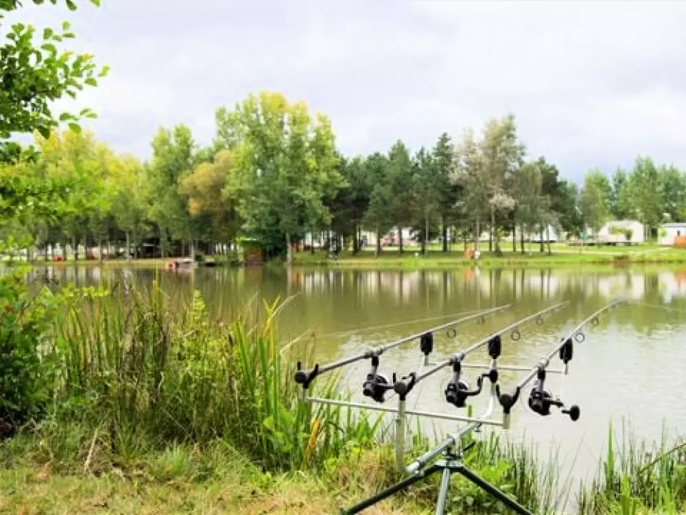 Camping Campilo 4 étoiles★★★★