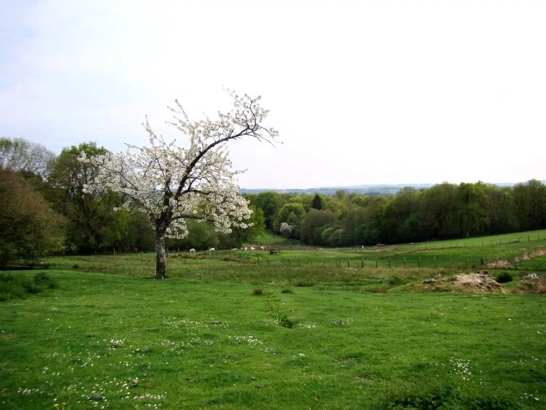 Gîte de France Négrignas 2 épis