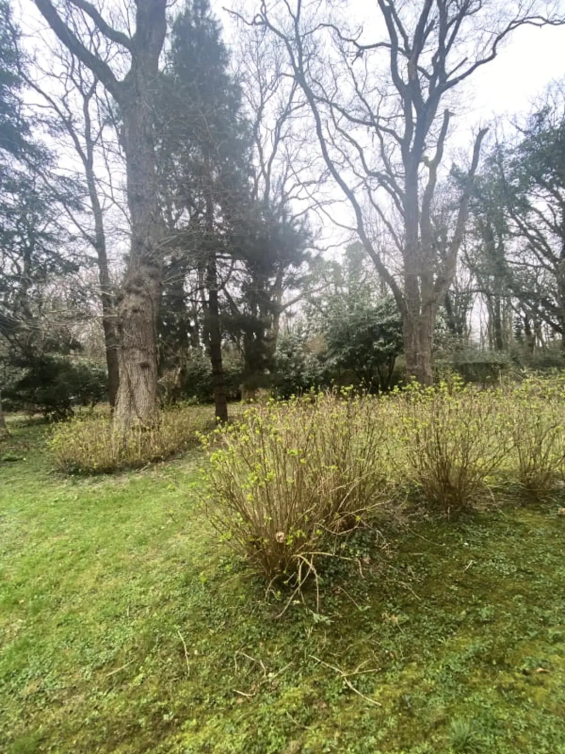 Résidence Mer &amp; Bois De Cise.. Maison Individuelle Avec Grand Jardin