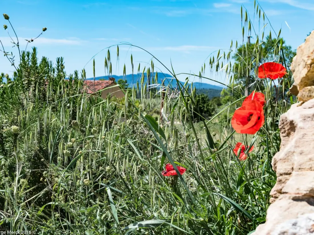Maison de Vacances Aups