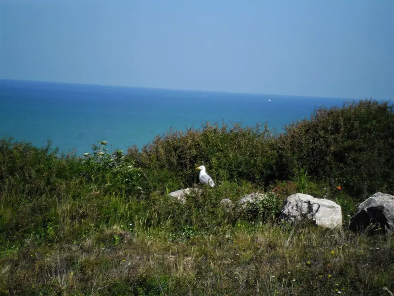 Gîte de France Gîtes de france® - les colombes en normandie 3 épis