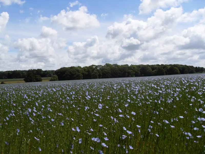 Gîte de France Gîtes de france® - les colombes en normandie 3 épis