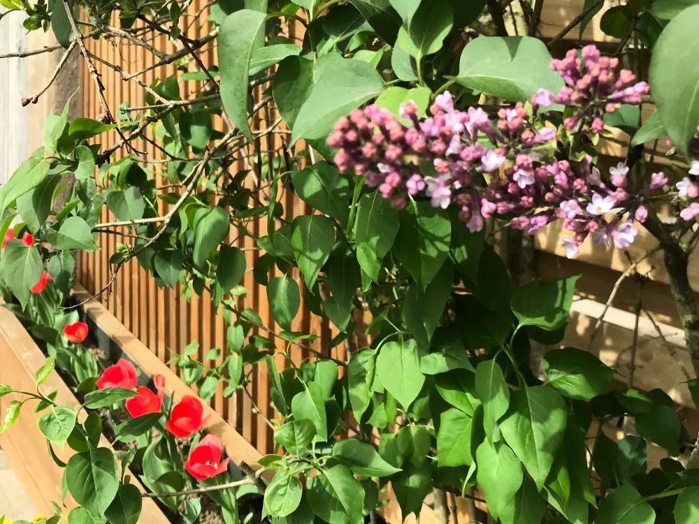 Maison de Vacances Autrepierre