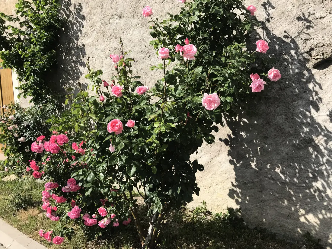 Maison de Vacances Autrepierre