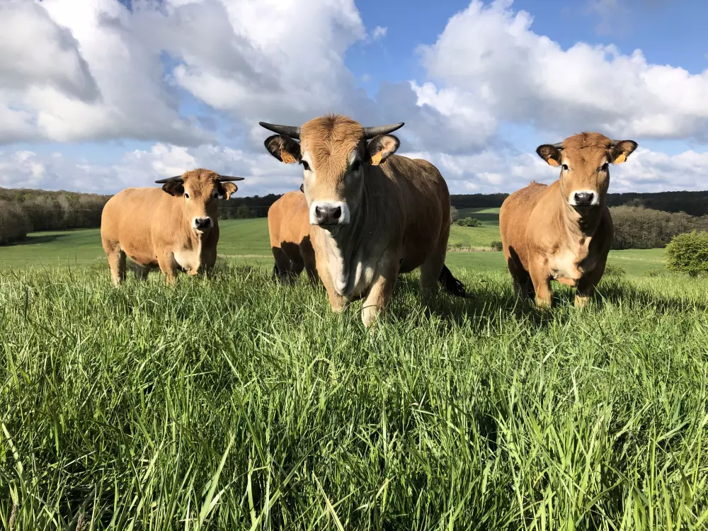 Maison de Vacances Autrepierre