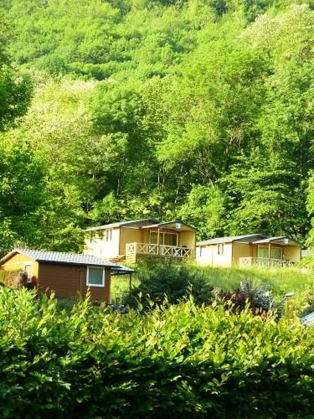 Flower Camping LA BEXANELLE 4 étoiles★★★★