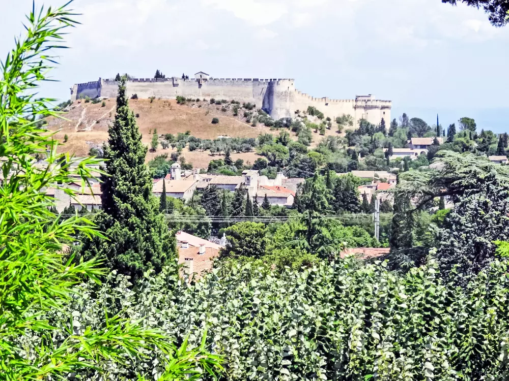 Maison de Vacances Avignon