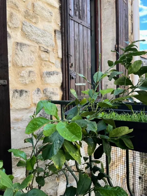 Nid Au Calme Avec Terrasse Dans L'intra-muros