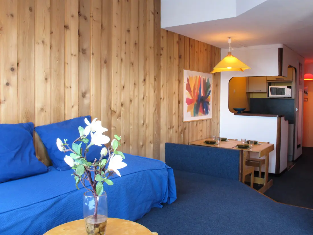 Location de Vacances Avoriaz 101