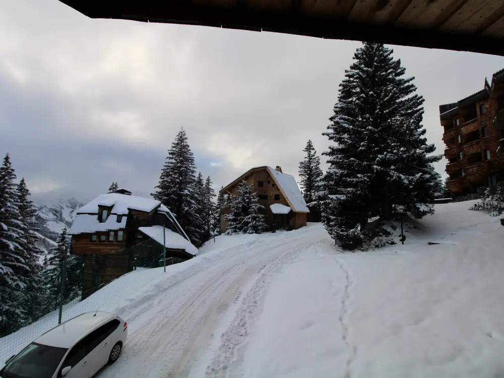 Location de Vacances Avoriaz 109