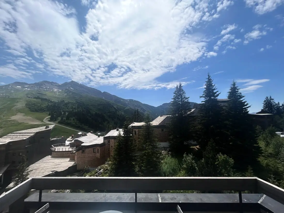 Location de Vacances Avoriaz 116