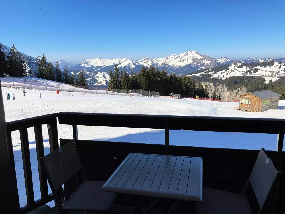 Location de Vacances Avoriaz 118