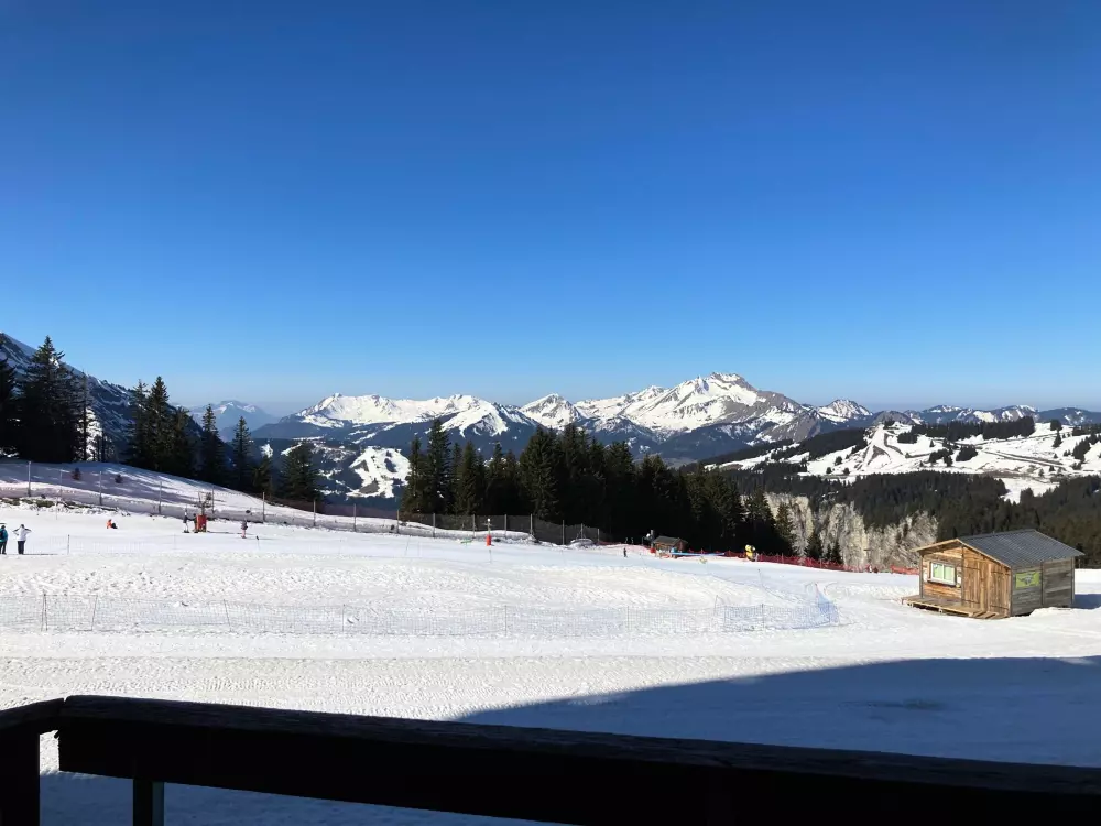 Location de Vacances Avoriaz 118
