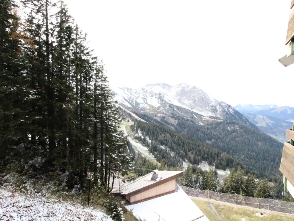 Location de Vacances Avoriaz 133
