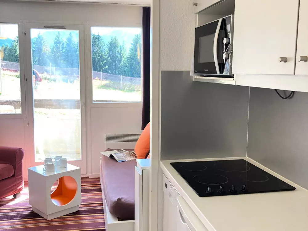 Location de Vacances Avoriaz 134