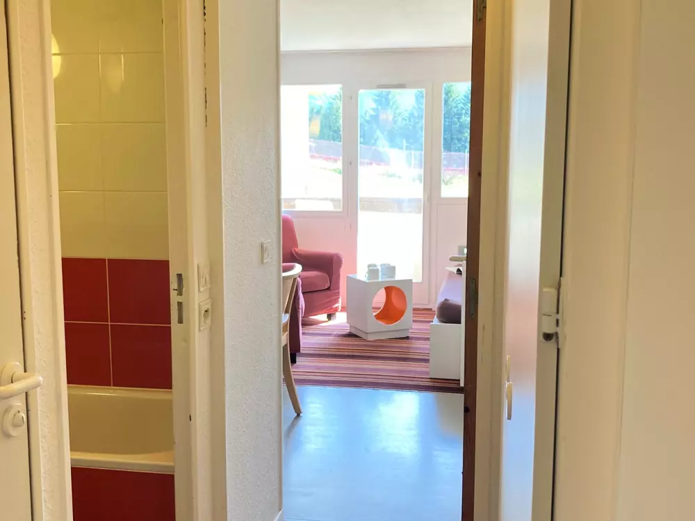 Location de Vacances Avoriaz 134