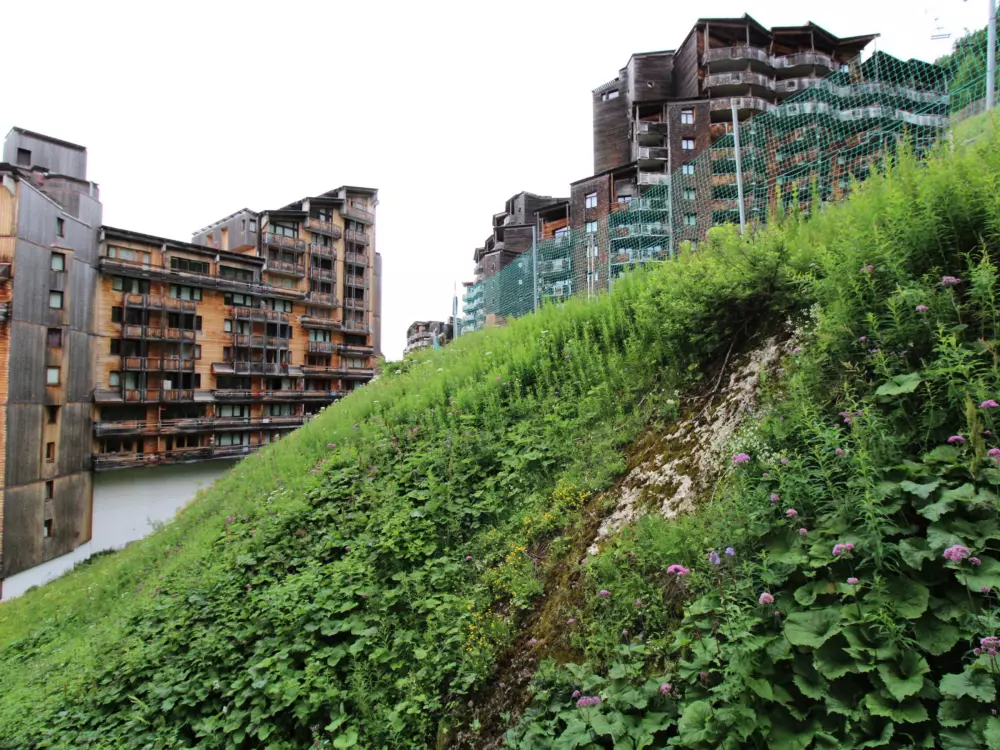 Location de Vacances Avoriaz 138