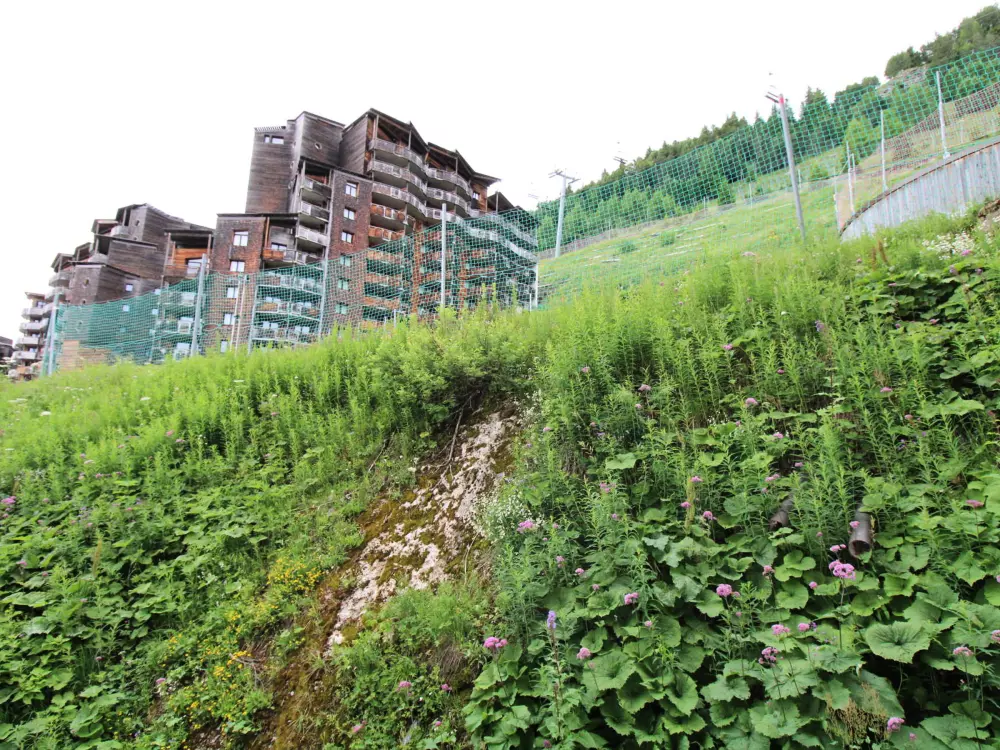 Location de Vacances Avoriaz 138