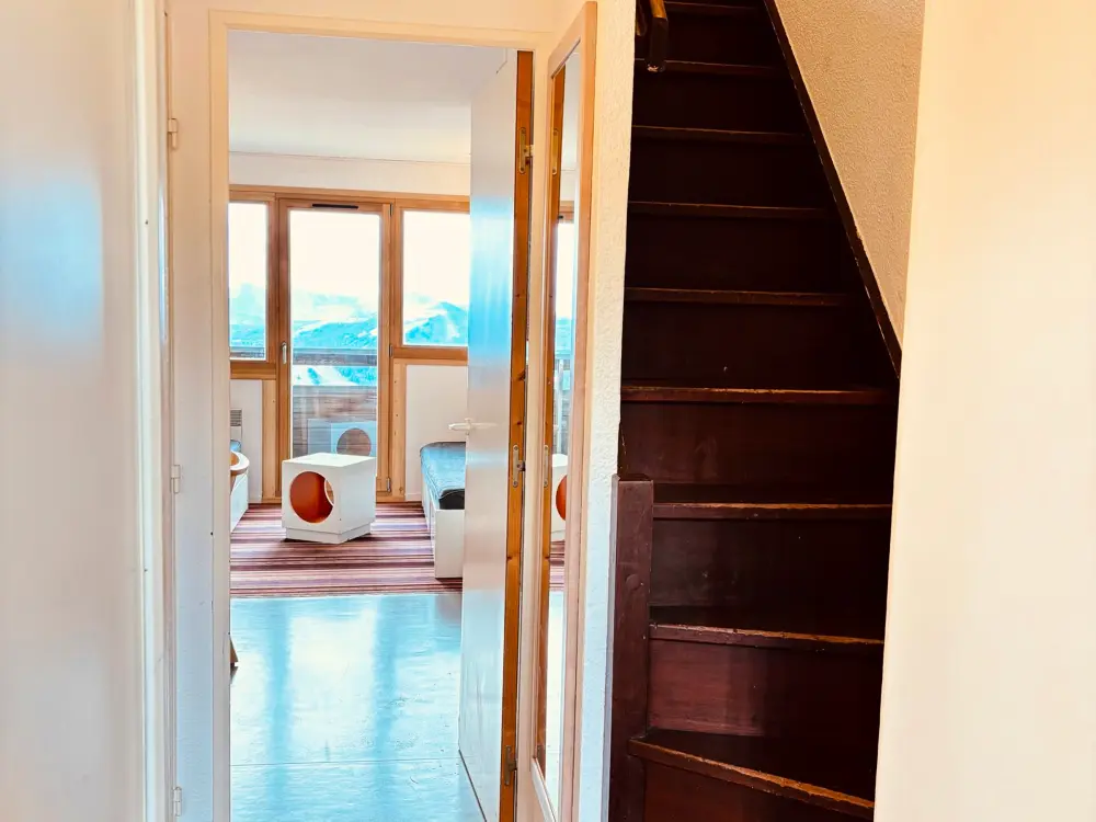 Location de Vacances Avoriaz 150