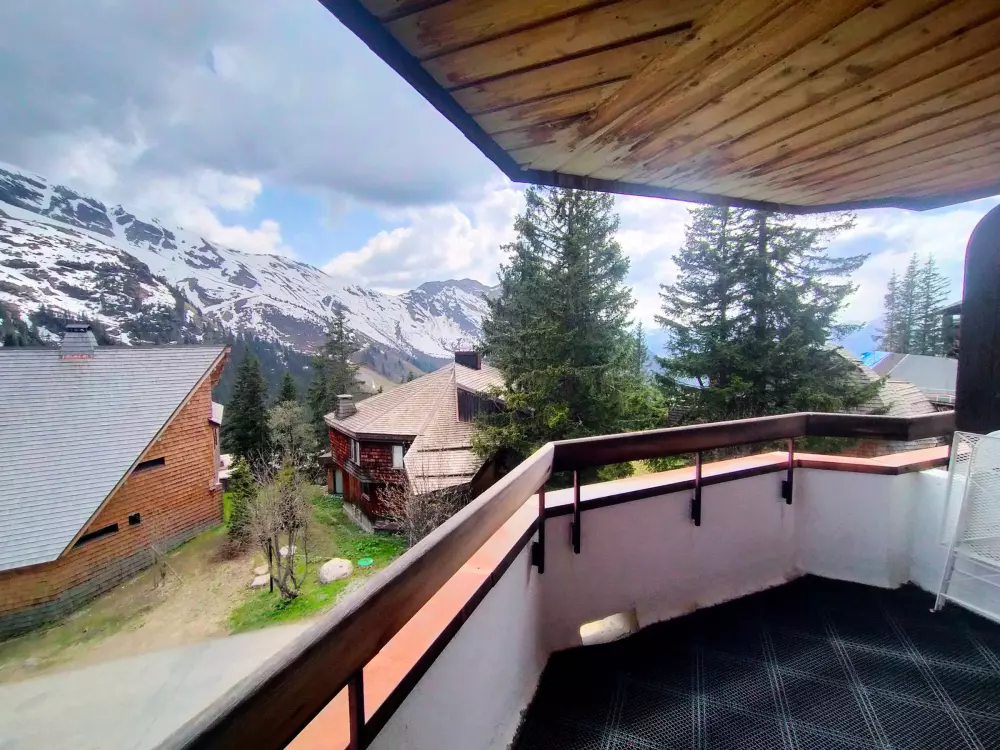 Location de Vacances Avoriaz 151