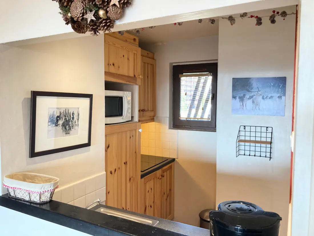 Location de Vacances Avoriaz 154