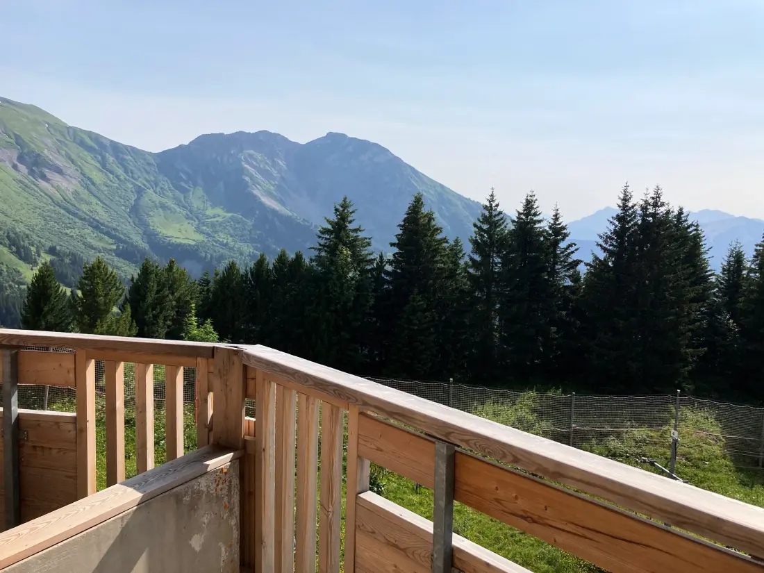 Location de Vacances Avoriaz 154