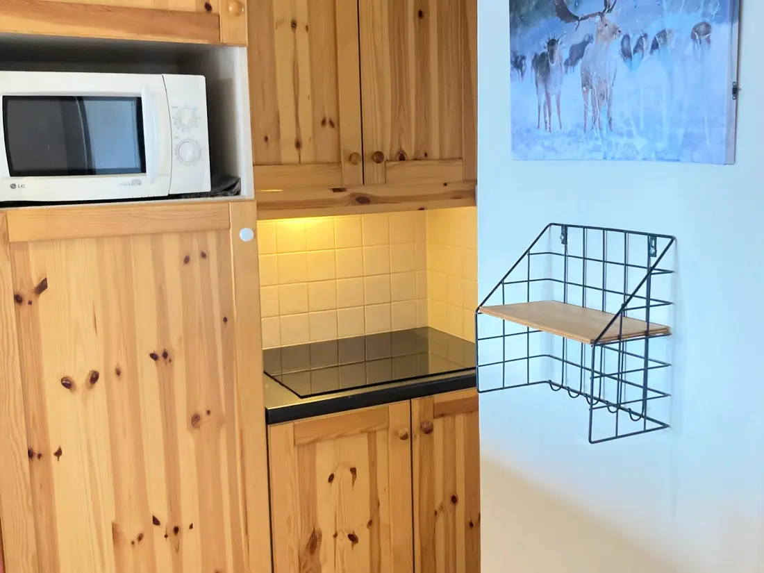 Location de Vacances Avoriaz 154