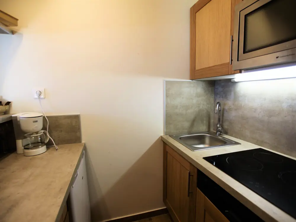 Location de Vacances Avoriaz 174