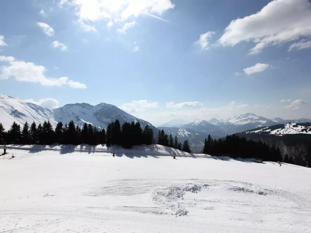 Location de Vacances Avoriaz 181