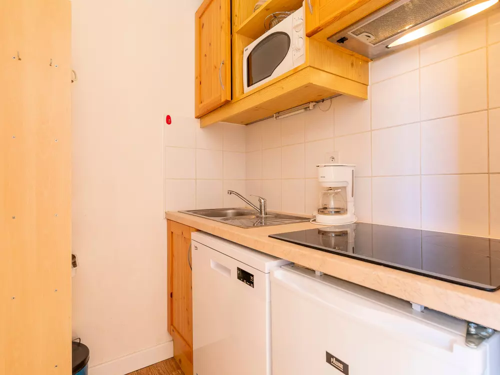 Location de Vacances Avoriaz 182