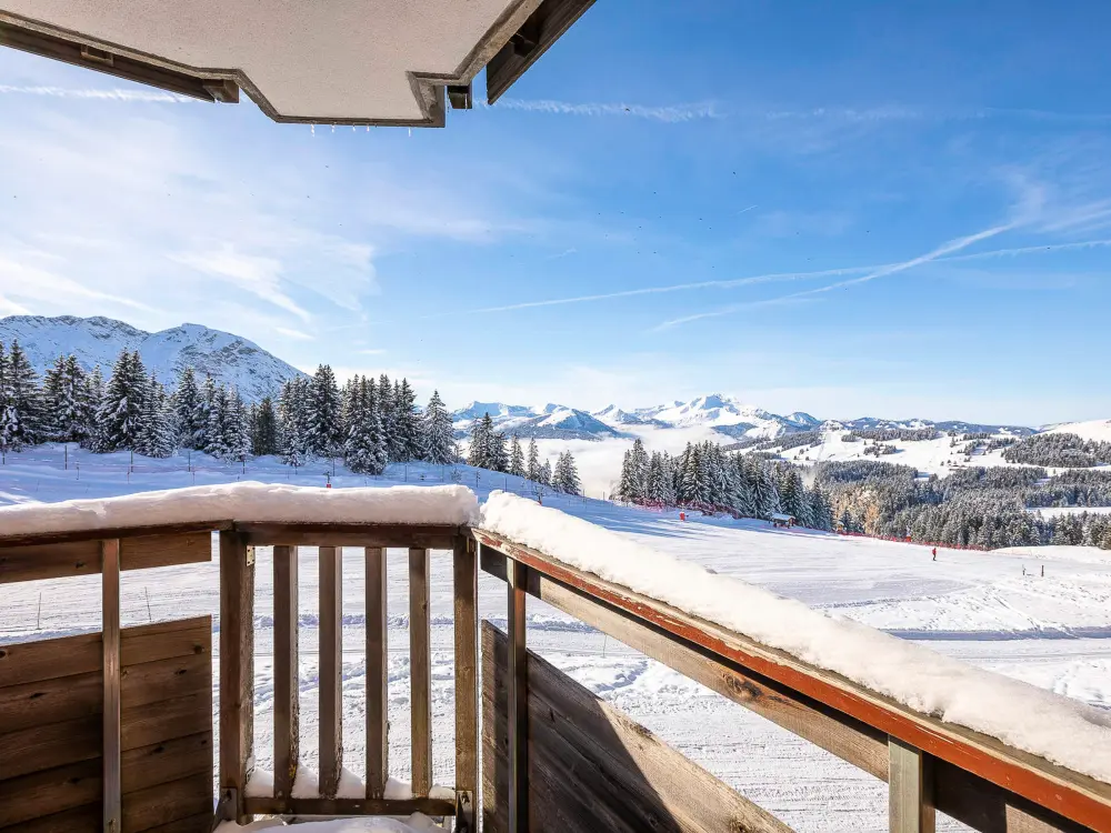 Location de Vacances Avoriaz 200