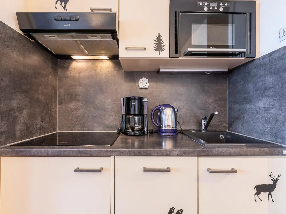 Location de Vacances Avoriaz 203