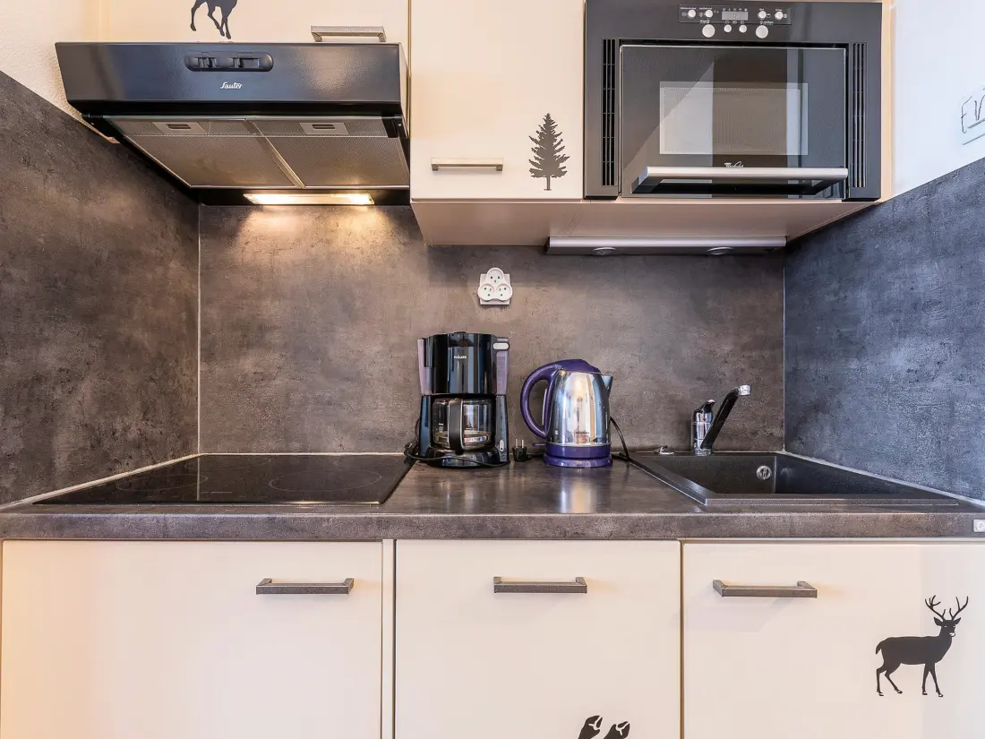 Location de Vacances Avoriaz 203