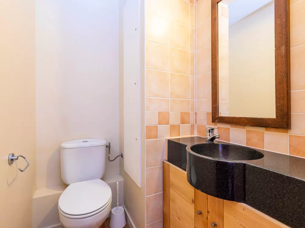 Location de Vacances Avoriaz 204