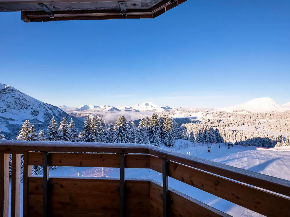 Location de Vacances Avoriaz 204