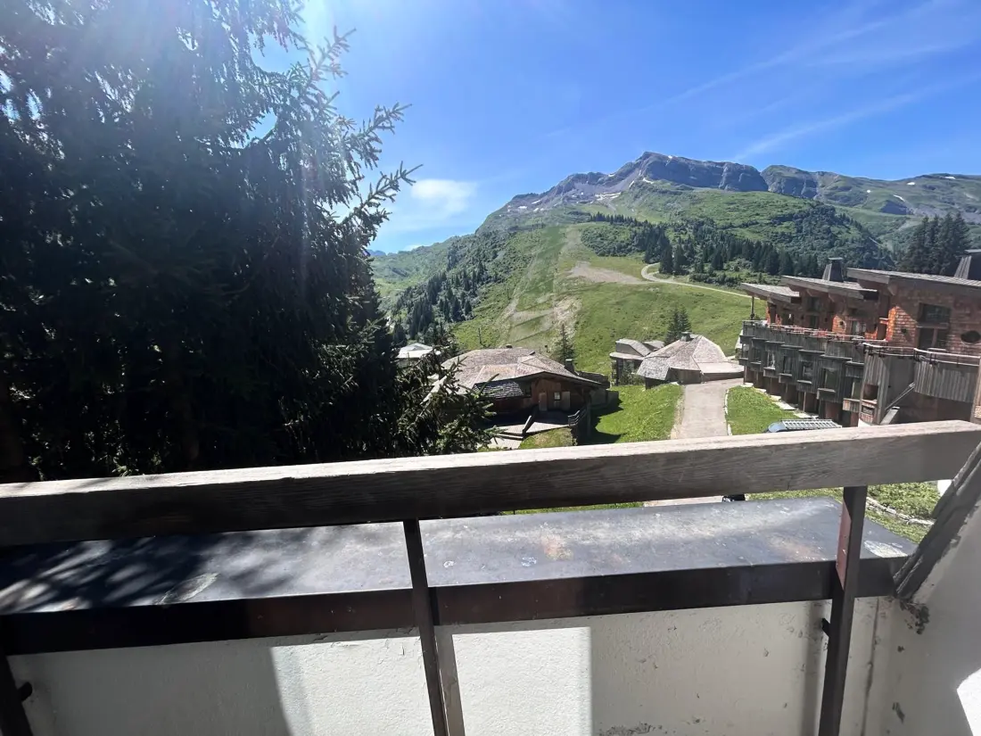 Location de Vacances Avoriaz 23