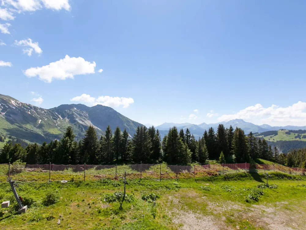 Location de Vacances Avoriaz 232