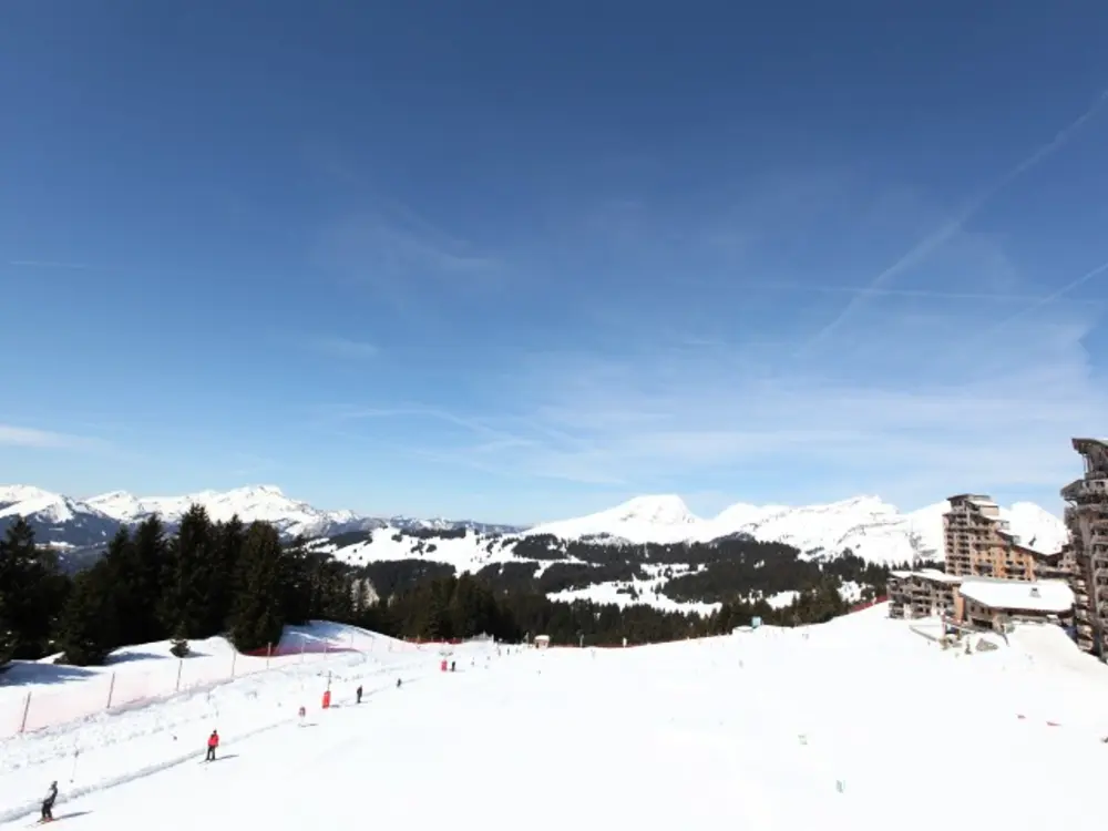 Location de Vacances Avoriaz 232