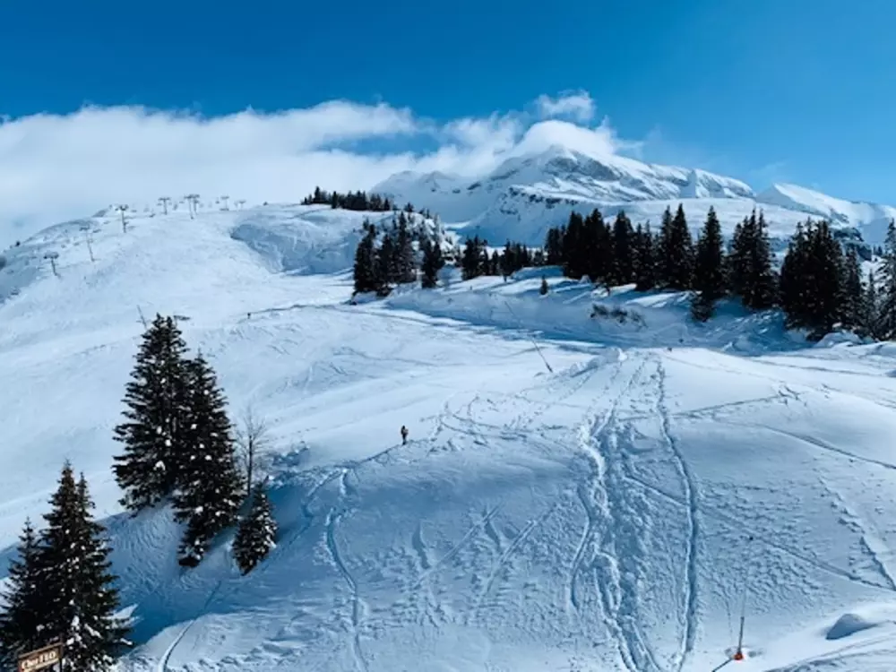 Location de Vacances Avoriaz 236