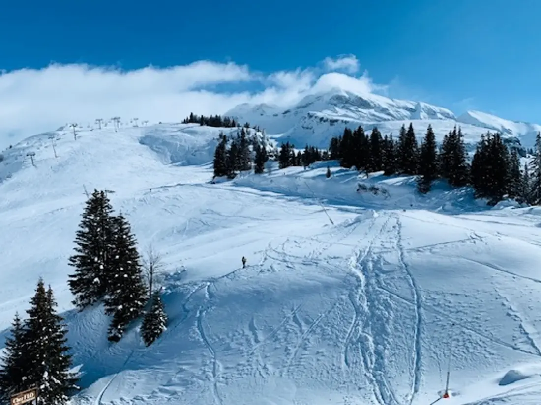 Location de Vacances Avoriaz 236