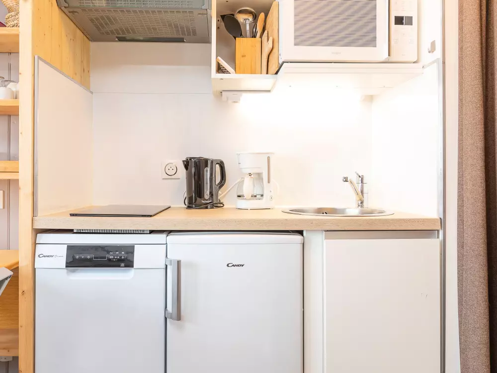 Location de Vacances Avoriaz 241