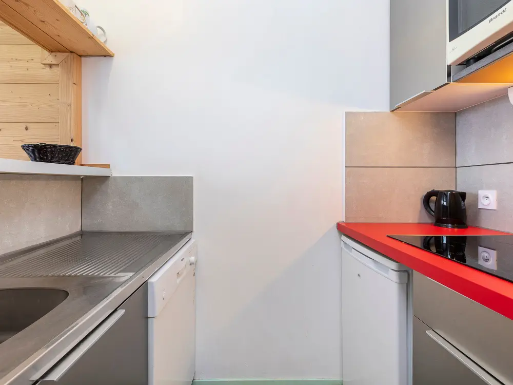 Location de Vacances Avoriaz 249