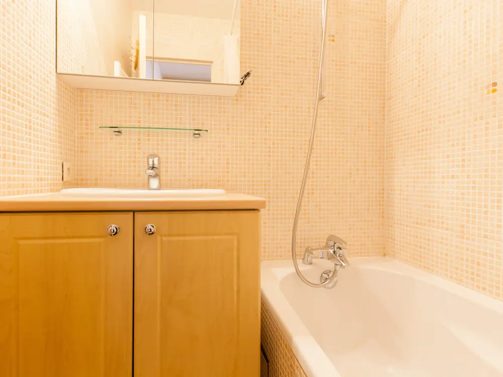 Location de Vacances Avoriaz 251