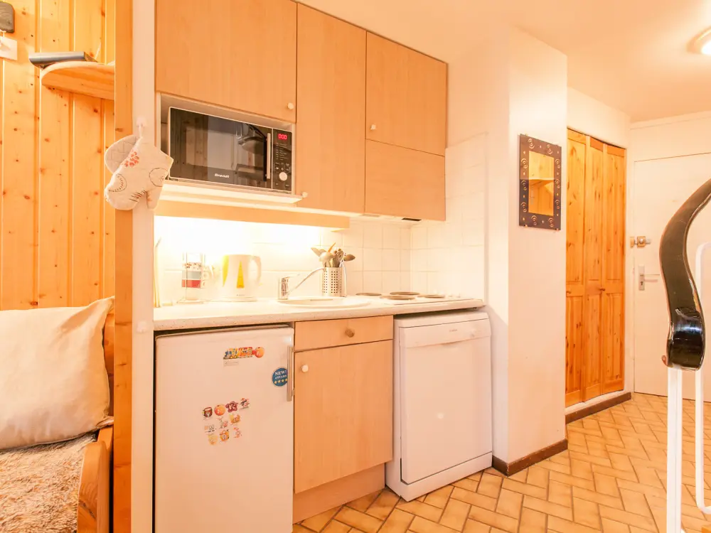 Location de Vacances Avoriaz 263