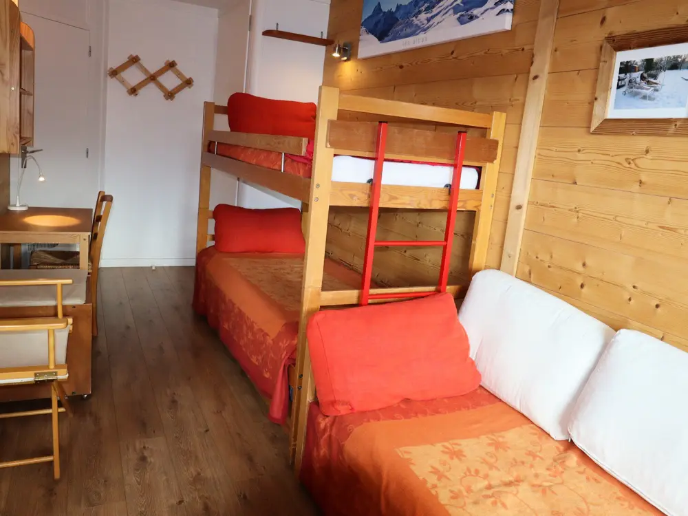 Location de Vacances Avoriaz 30