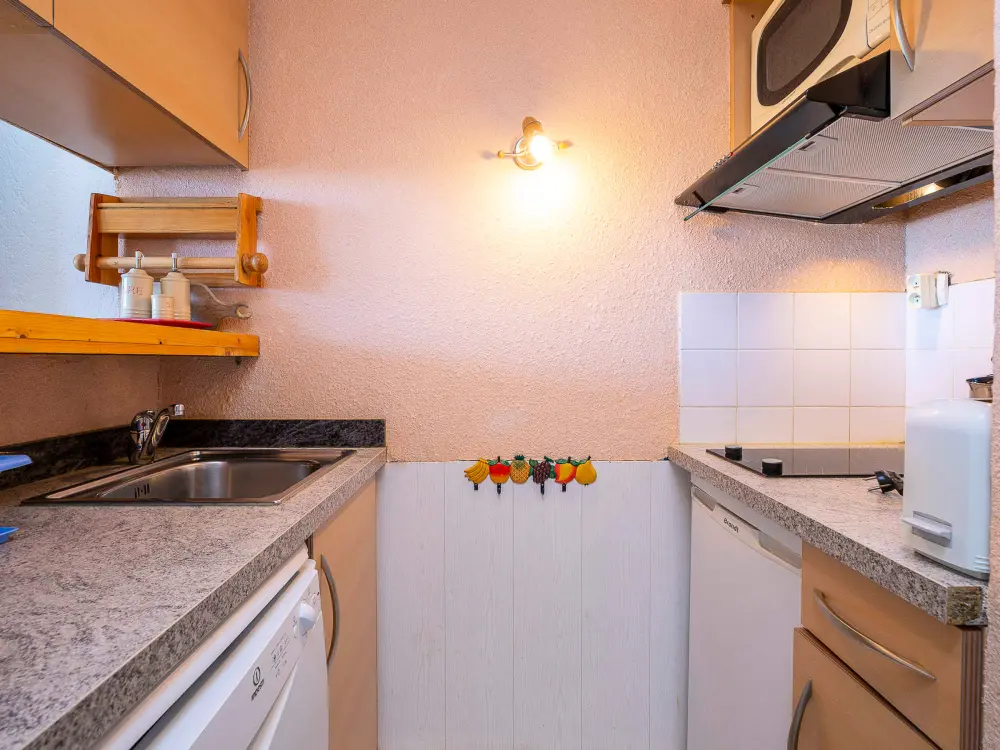 Location de Vacances Avoriaz 313