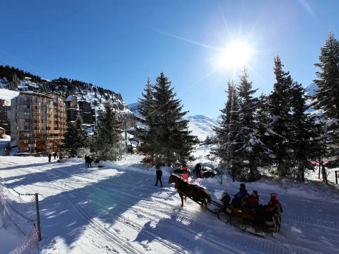 Location de Vacances Avoriaz 319