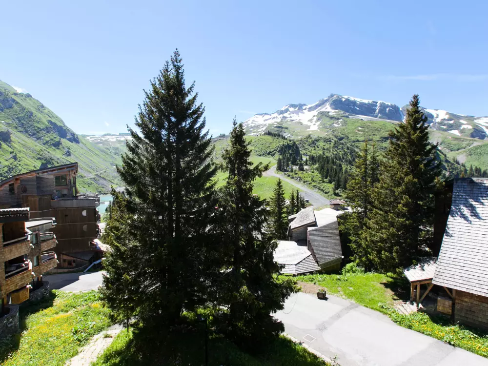 Location de Vacances Avoriaz 327