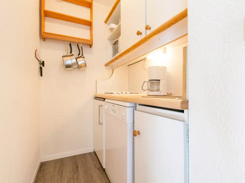 Location de Vacances Avoriaz 330