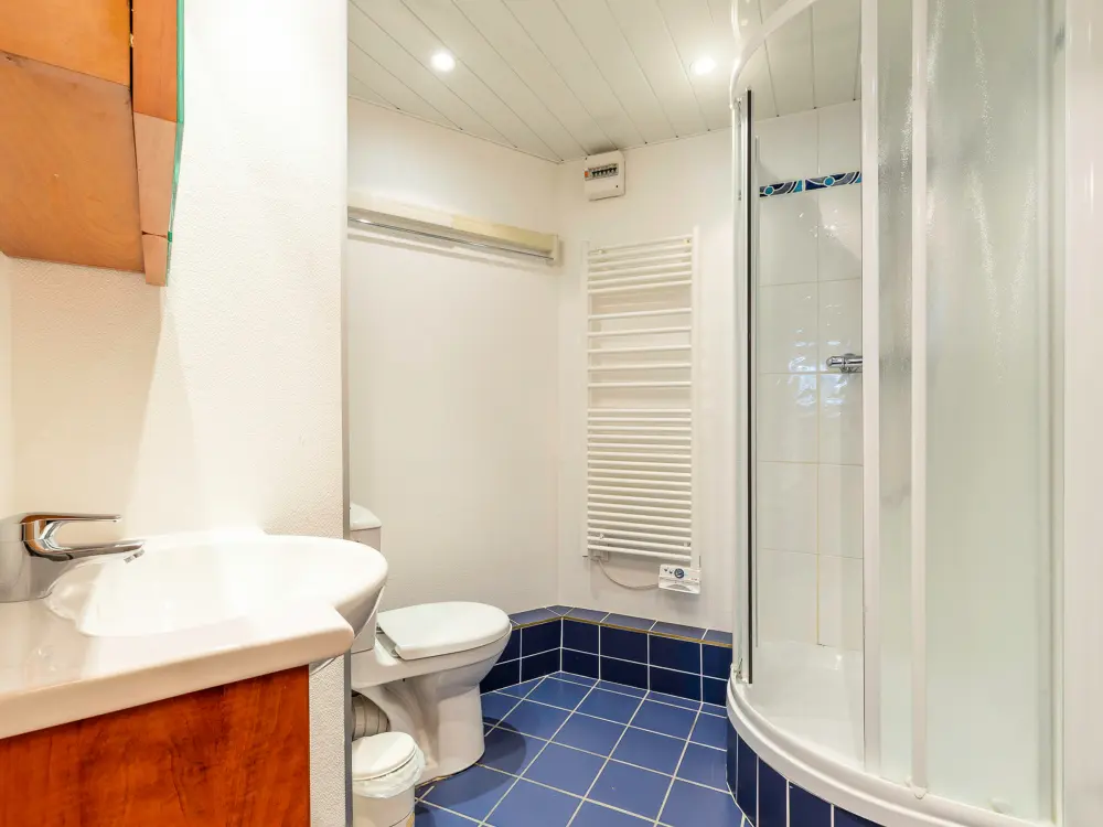 Location de Vacances Avoriaz 350